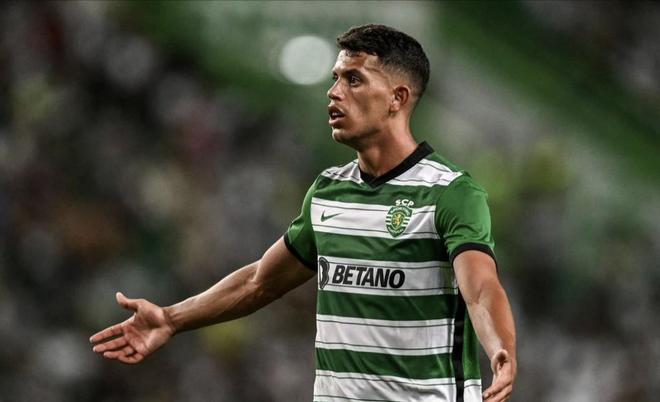 展现了德国 展现了德国