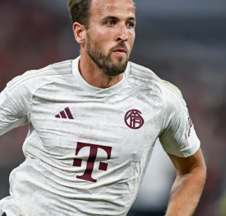 多防守悍将 多防守悍将