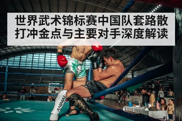 sanda kickboxing fight